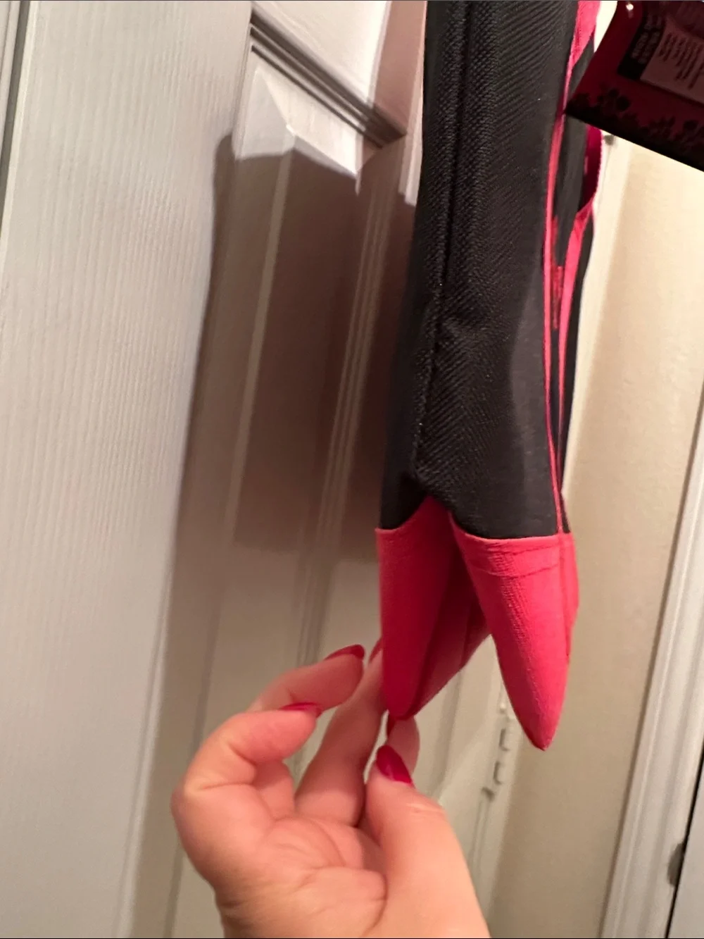 Trader Joe's Black & Red Insulated Grocery Tote